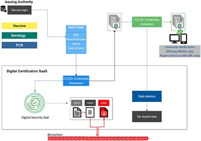 Digital COVID Credentials: An Implementation Process